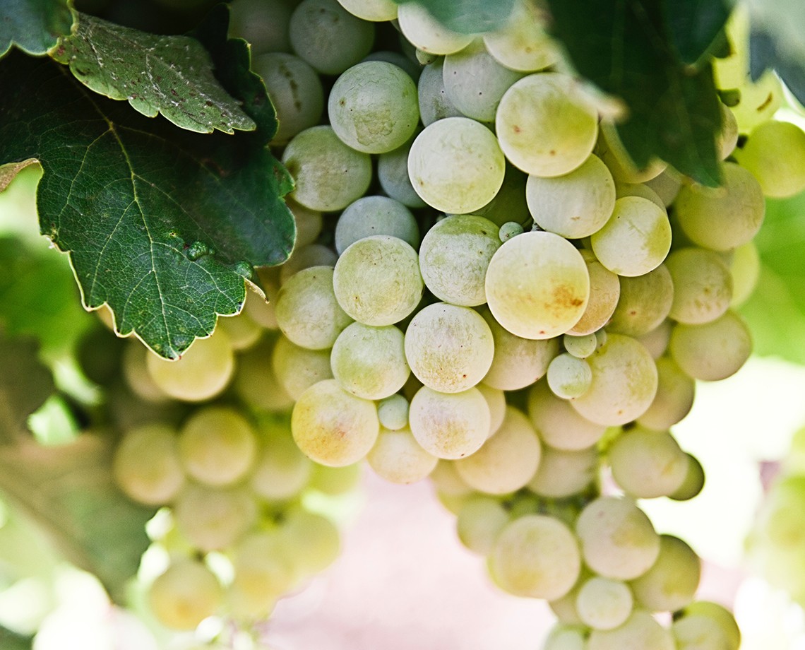 Atmos-Banner-277xz491jvPF1S